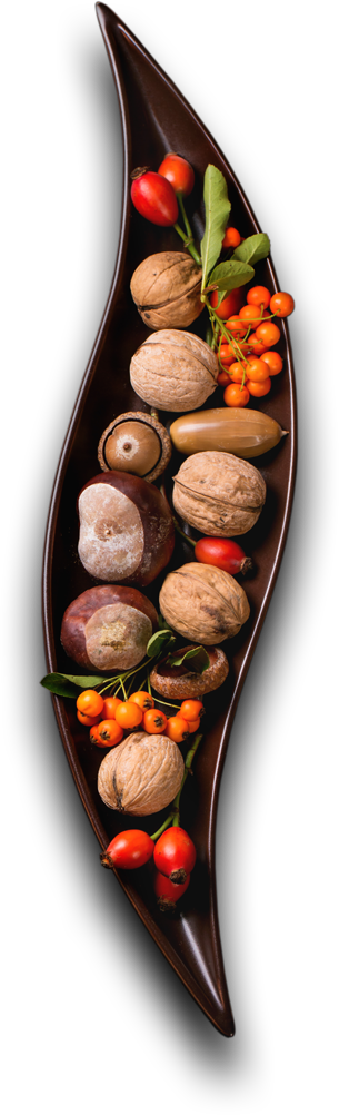 Apna Catering Services HTML Template